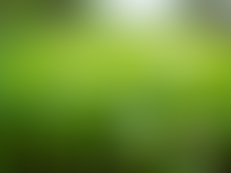 Fresh Microgreens and Lettuce Available Now Stop By on Mondays Wednesdays and Fridays