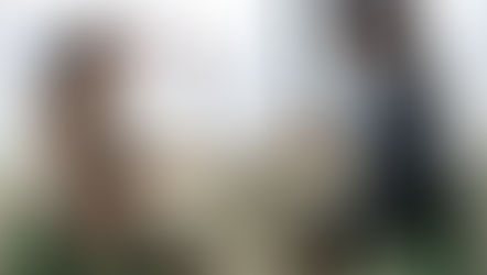 Your Therapist Was Never Your Best Friend ‒ 8 Ways To Understand The Therapeutic Alliance