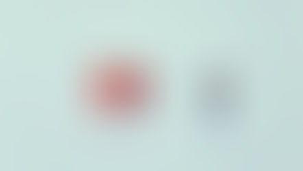 Transition From Entrepreneur To Leader