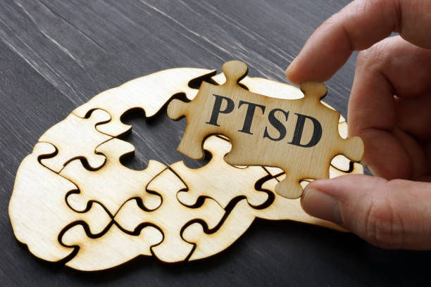 PTSD Post Traumatic Stress written on the brain like puzzle.