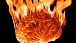 Banish Burnout For A Productive Organisation