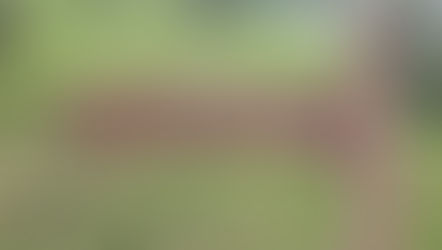 How You Can Start Anew In 2023?