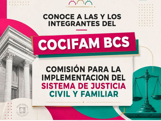 Integrantes del Comité para la Modernización de la Justicia Civil y Familiar en BCS