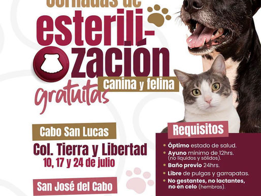Por la salud de tus animales de compañía, de tu familia y de la comunidad, actúa con responsabilidad: ¡esterilízalos!