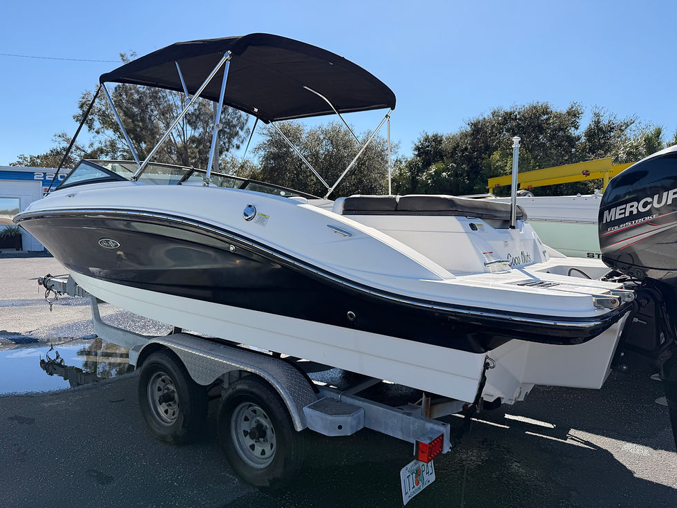Thumbnail: 2019 SEA RAY 210 SPX