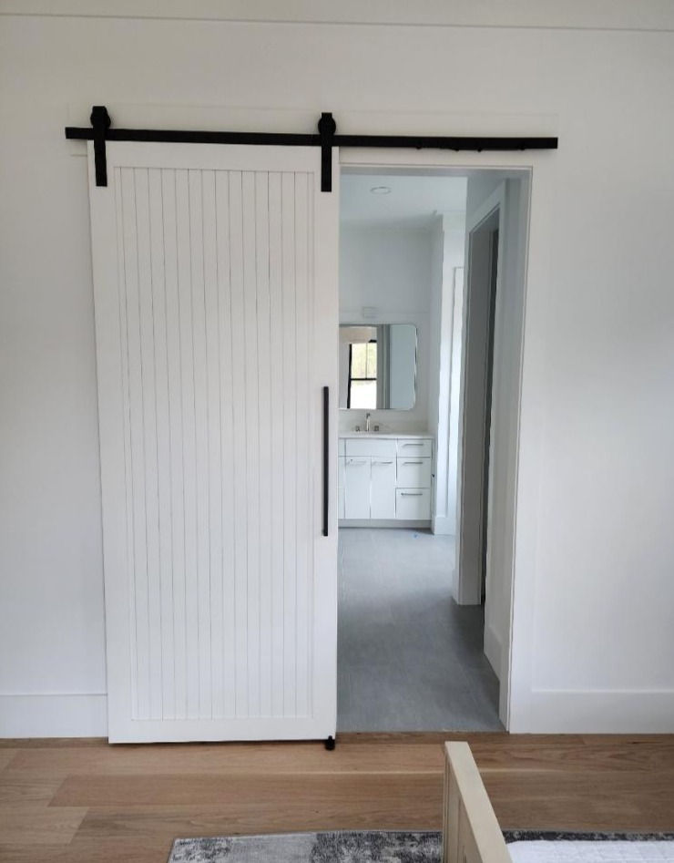 Painted Barn Door
