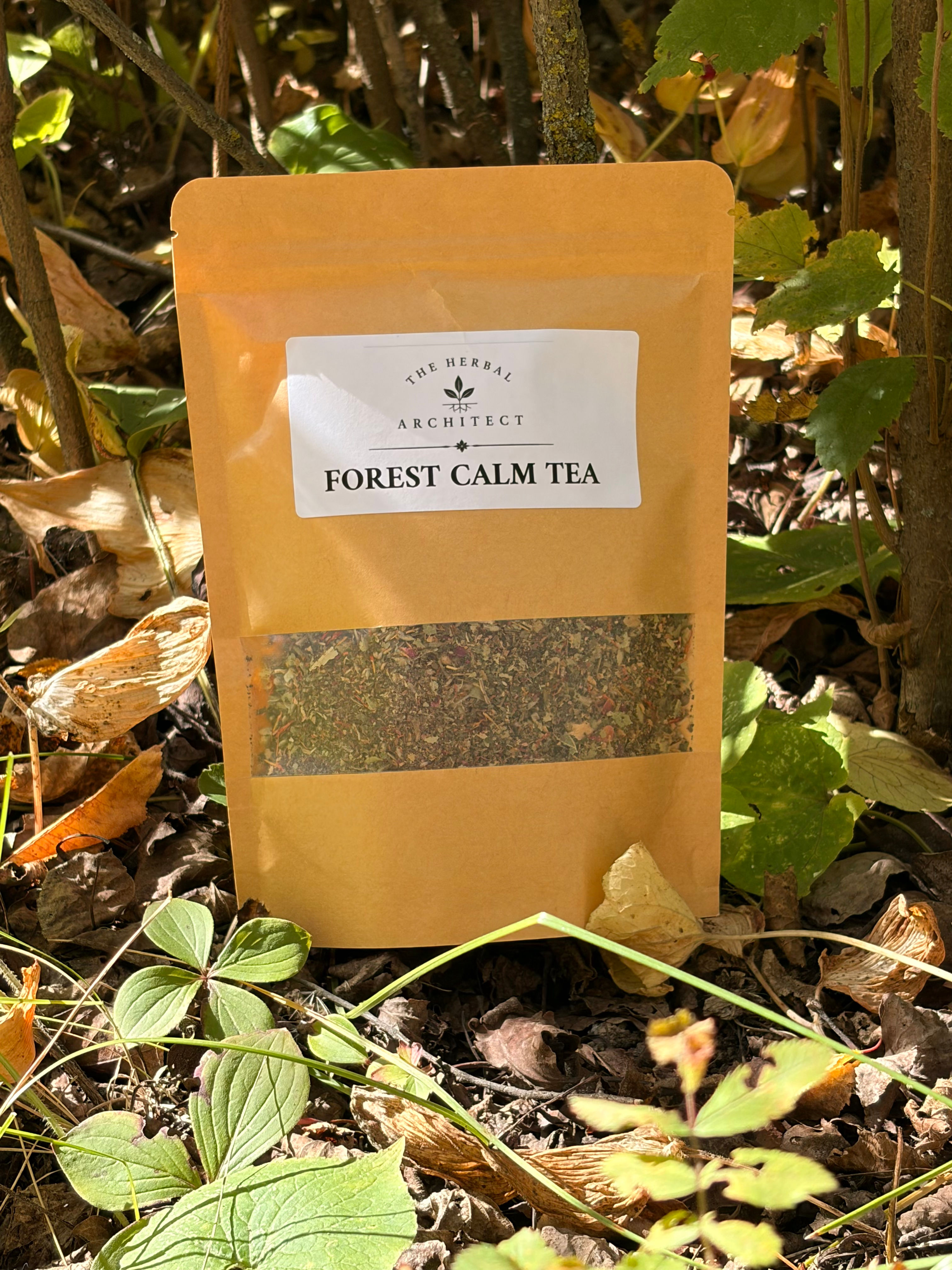 Forest Calm Tea Blend