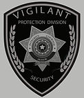 VPD6_edited.jpg