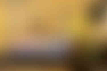 Street art in Lisbon, Street art In Portugal