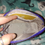 Thumbnail: Michael kors makeup bag