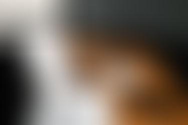 Don't Be Intimidated: Overcoming Common Challenges in Creating a Strong Business Proposal