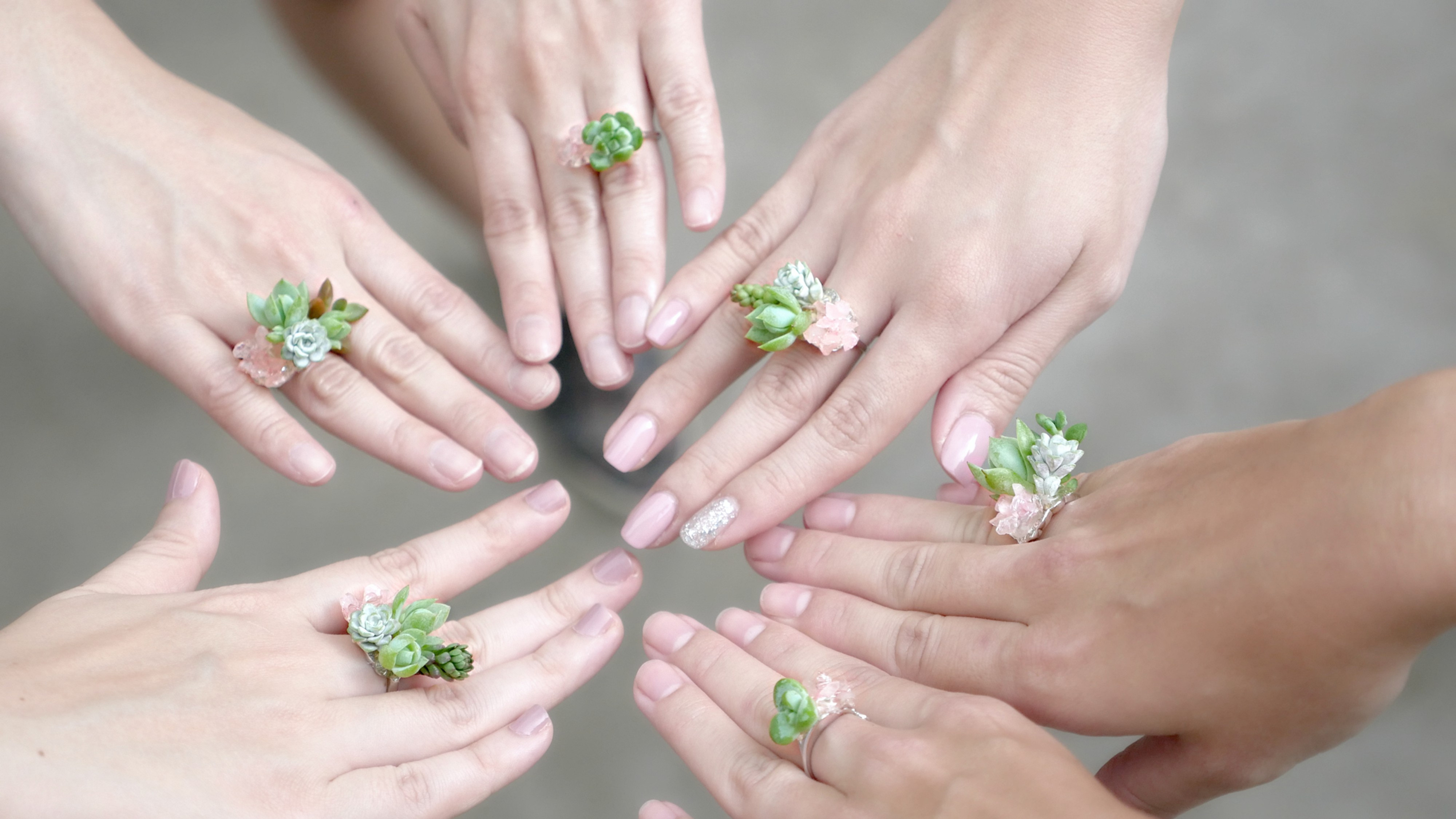 Succulent Rings (Cluster)