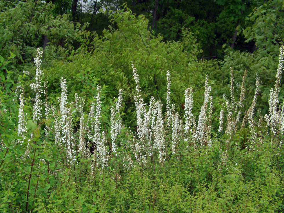 464303980_10220547149147817_3456135640629792990_n_10201117734824602