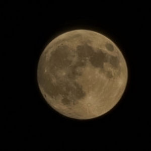 The Moon 