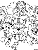 1606853719All-Paw-Patrol-Pups.png