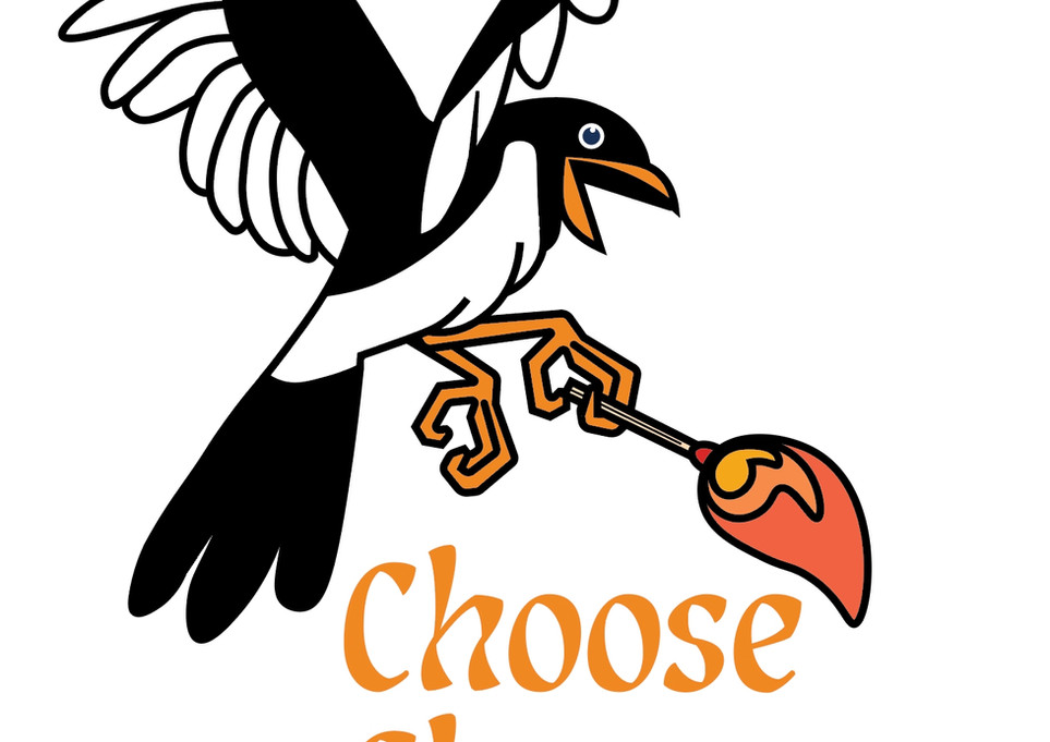 Illustration of a bird with a lit match, the text choose chaos is underneath,