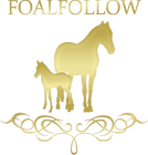 fflogo.png