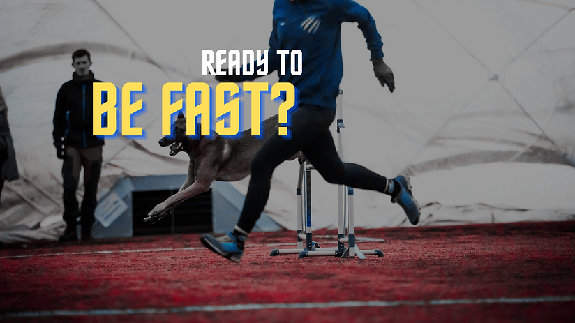 Are You Run-ready(1).png