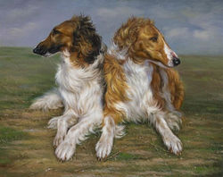 DOG 57