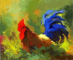 GALLO 11