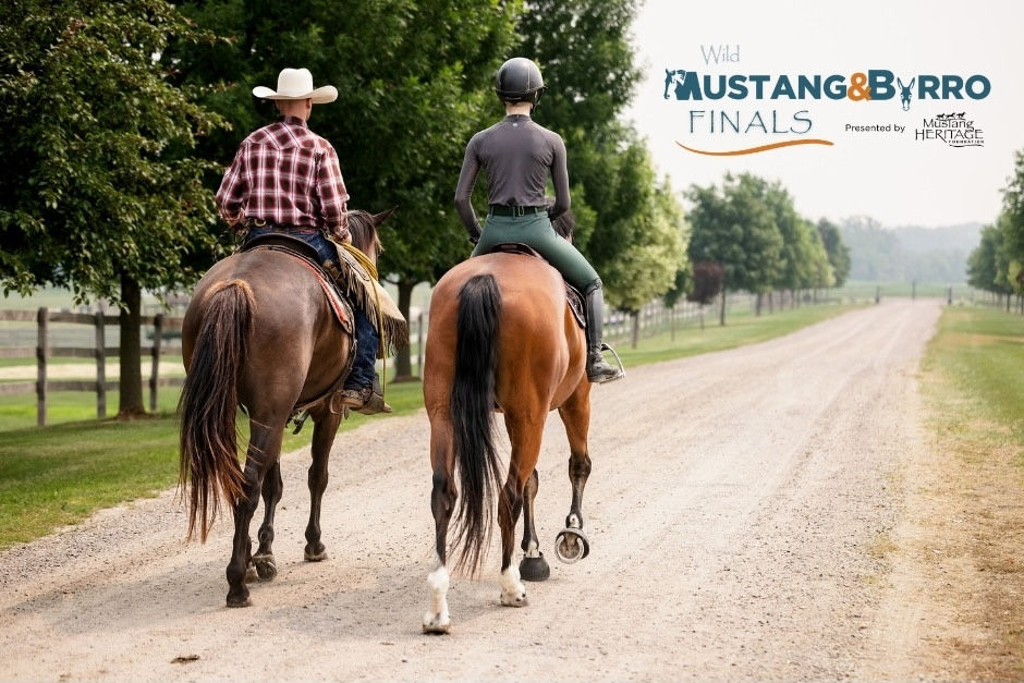 mustang and burro finals