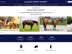 Mustang Heritage Foundation Partners with Mane Street Market to Put Wild-Bred Horses in Front of the Buyers Who Are Ready for Them