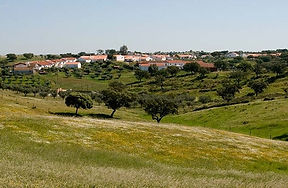 l_fld50_amendoeira_serra_mertola.jpg