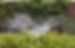 irrigation-2402568_1280.jpg