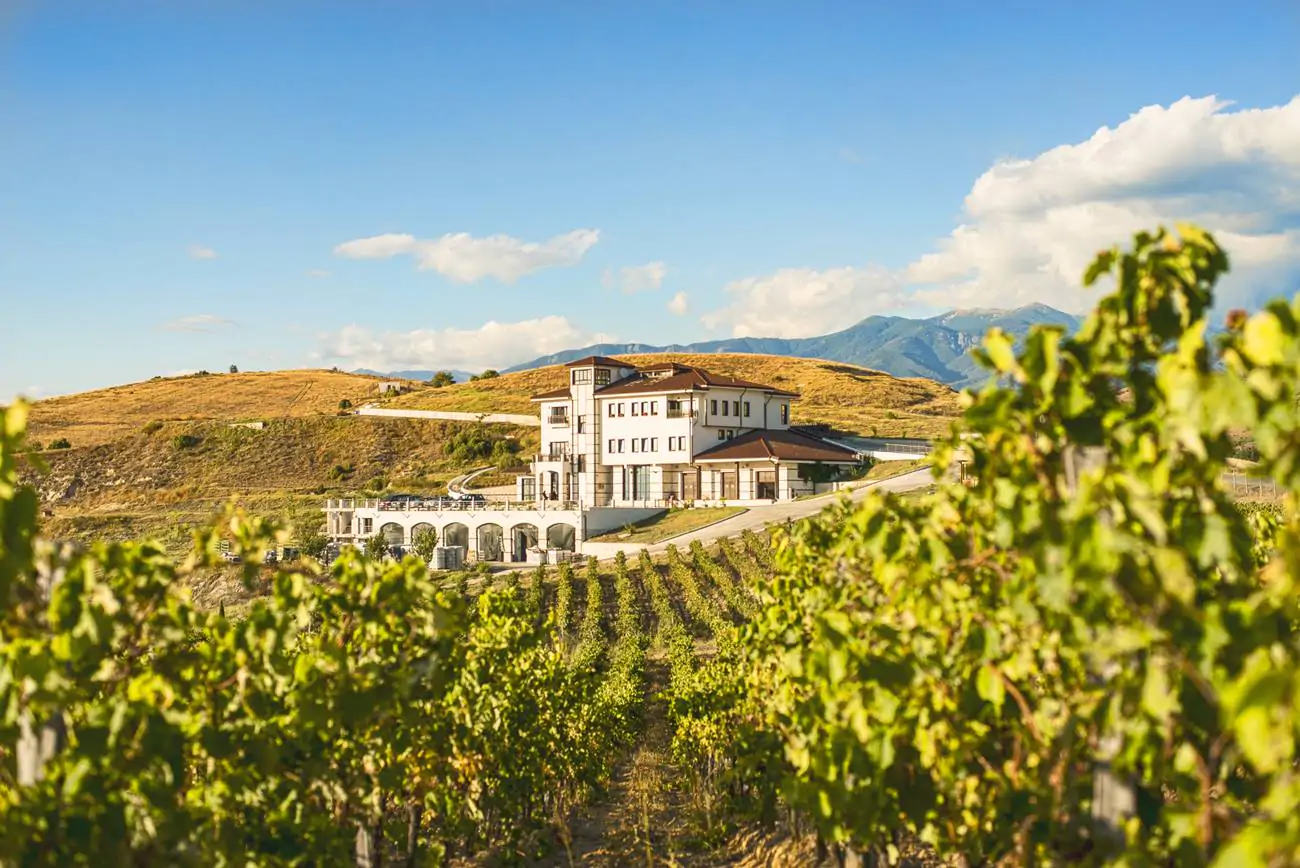 Wijn/spijs proeverij - Bulgaarse Bodems & Druiven