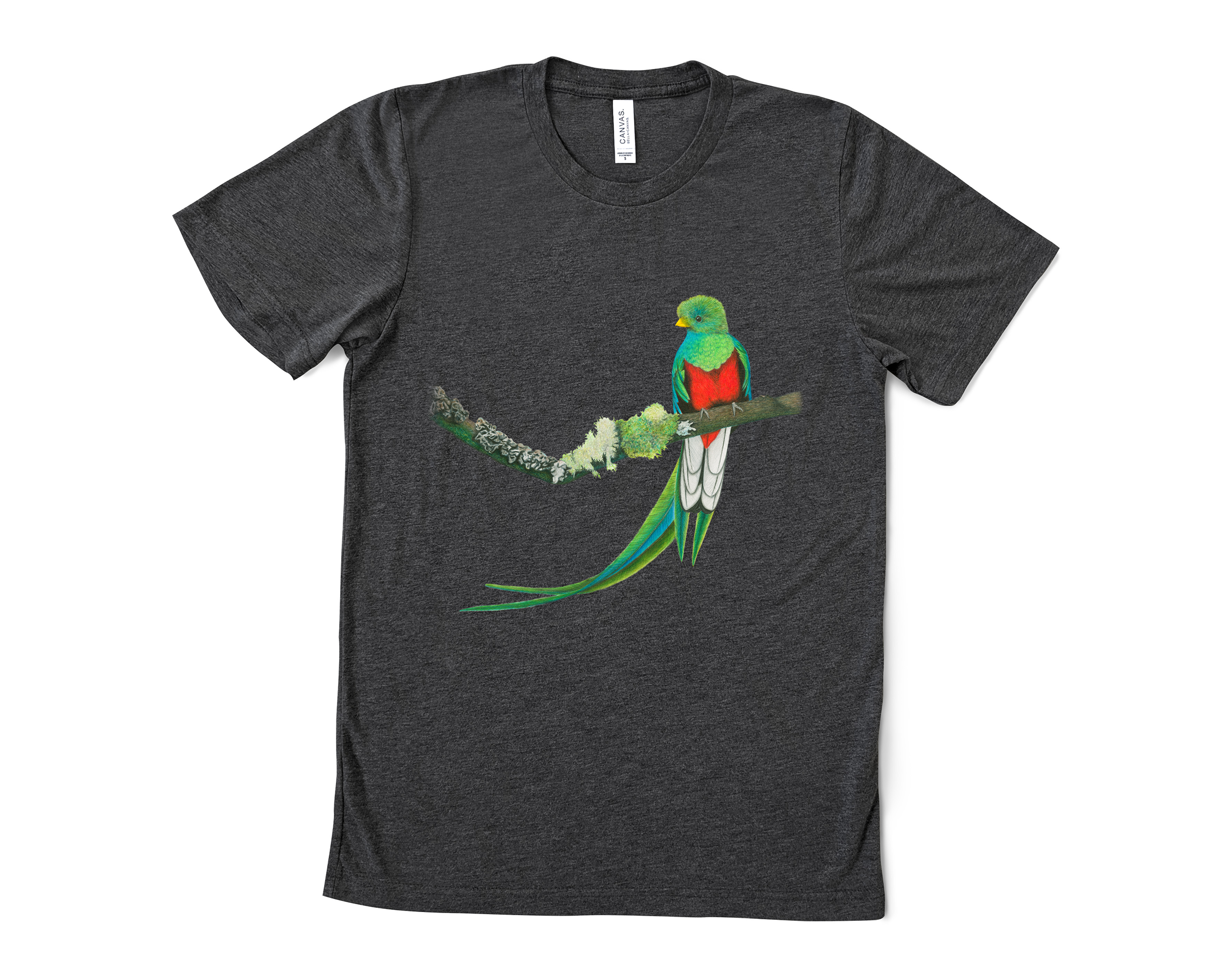 Resplendent Quetzal - Adult T-shirt