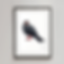 Inca Tern