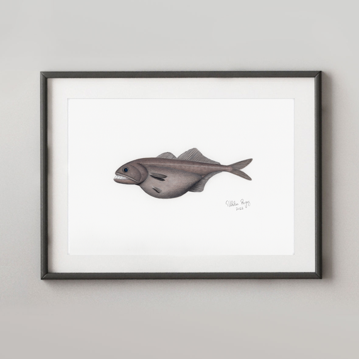 Black Swallower