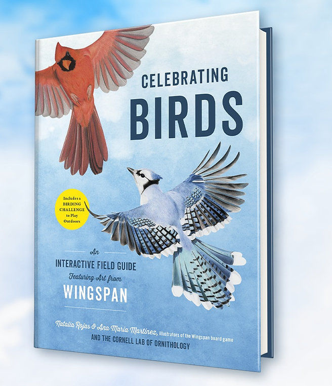 Cover of Celebrating Birds book.