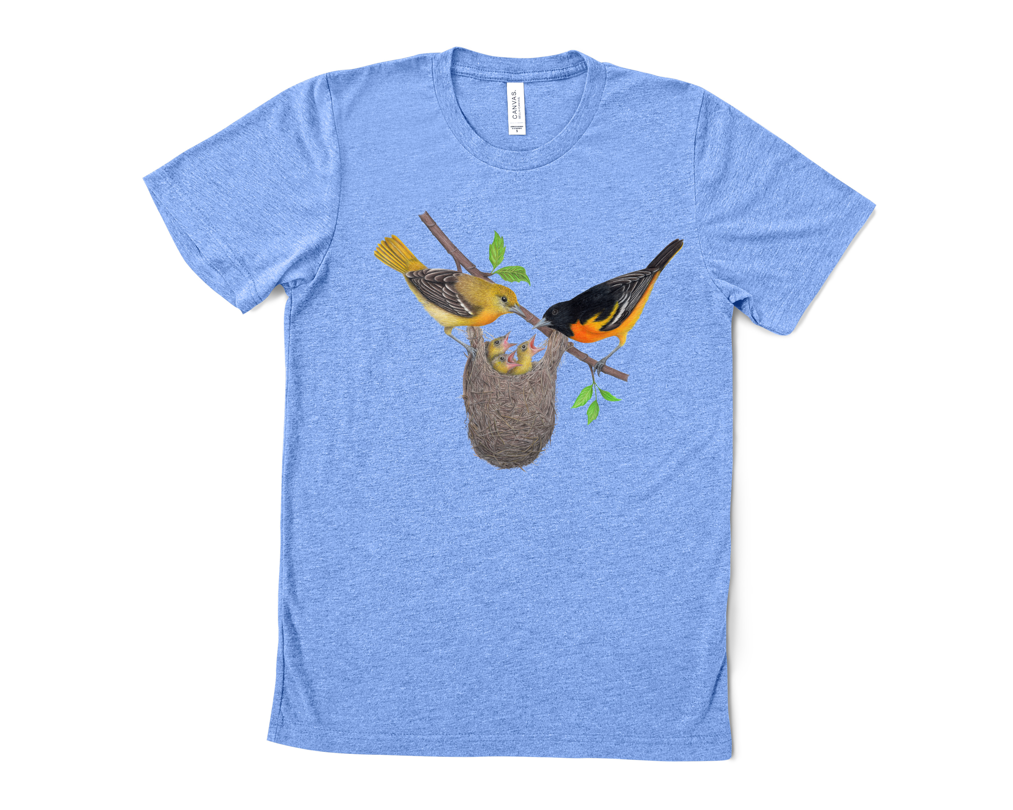 Baltimore Oriole Family - Adult T-shirt