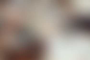 NPO定例会を開催しました