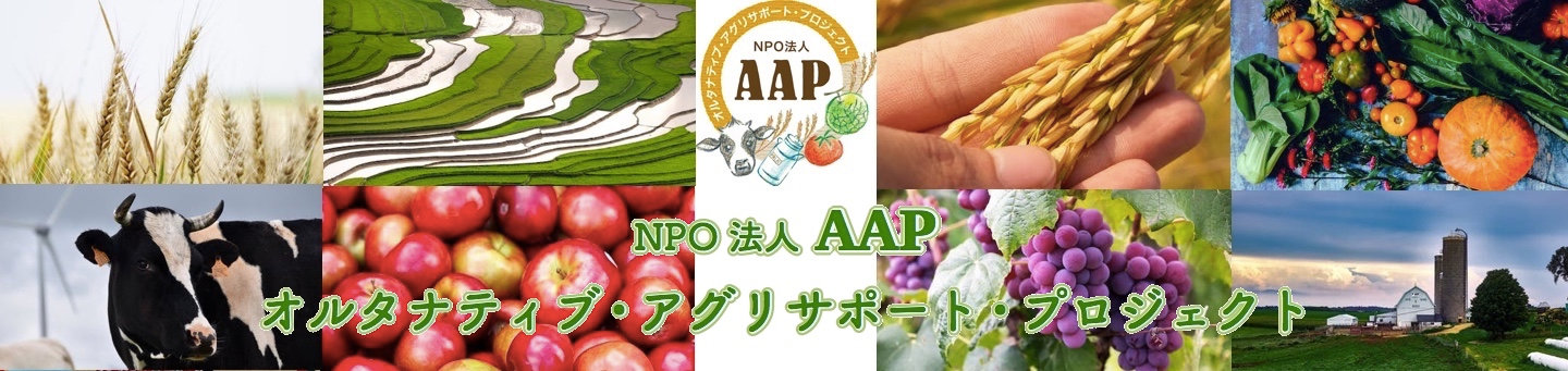 トップ画像ロゴ付き.jpeg