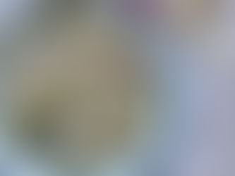 Risotto van Hello Fresh