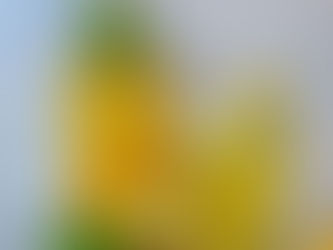 Homemade limonade van citroenverbena