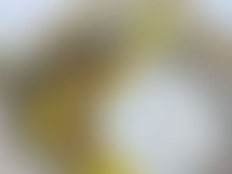 Romige dip met boursin, spek, paprika en lente-ui