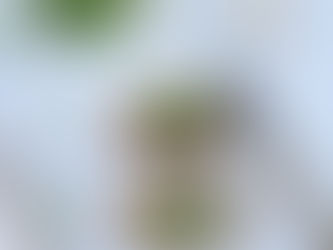 Bruschetta met ricotta, zongedroogde tomaten, rucola en pijnboompitten