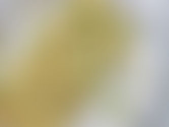 Vegetarische pasta met curryroomsaus