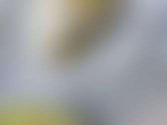 Wrap met roerei, spek en avocado