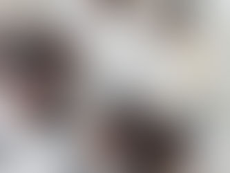 Overnight oats met pure chocolade en bosbessen