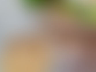 Slaatje met geitenkaas