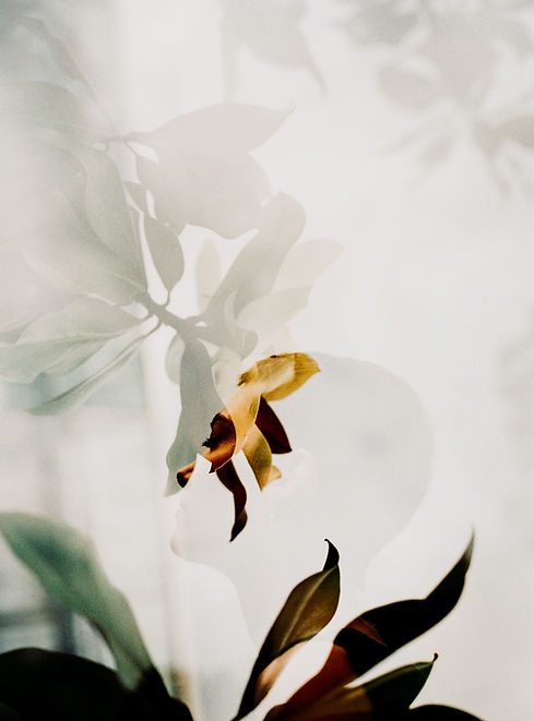 motoki-tonn-4In0RilaHSM-unsplash.jpg