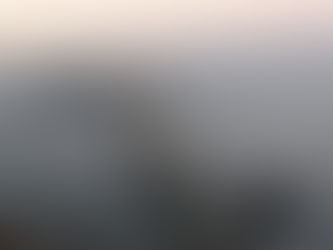 サンフランシスコスペシャル