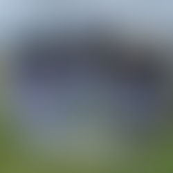 ILCA - Régate de Ligue à Mazerolles