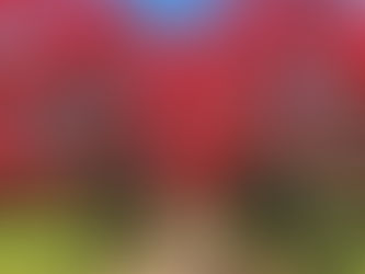 Understanding Legal Compliance in Land Projects: The SPP Properties Approach