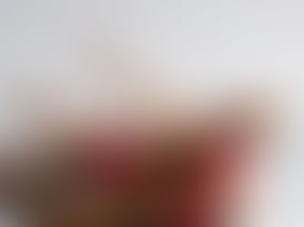 Building Trust in Land Investments: The Sai Properties & Projects Method