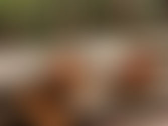 Why SPP Properties is Considered a Reliable Name in Land & Property Investments